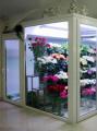Как открыть цветочный бизнес поэтапно, с чего начать и на что обратить внимание